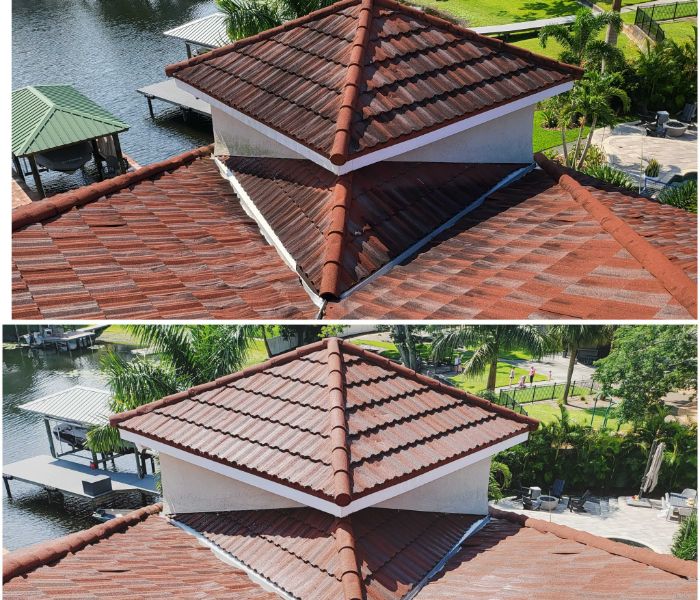 Roof cleaned with ProClean soft-wash service